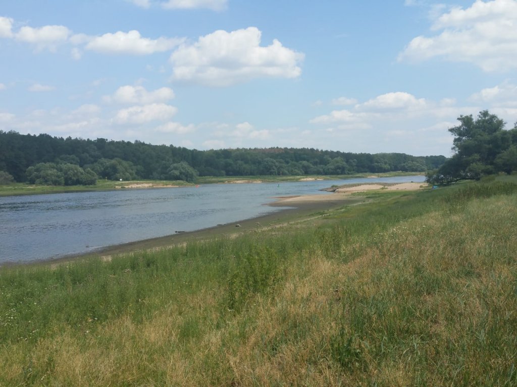 De Elbe!