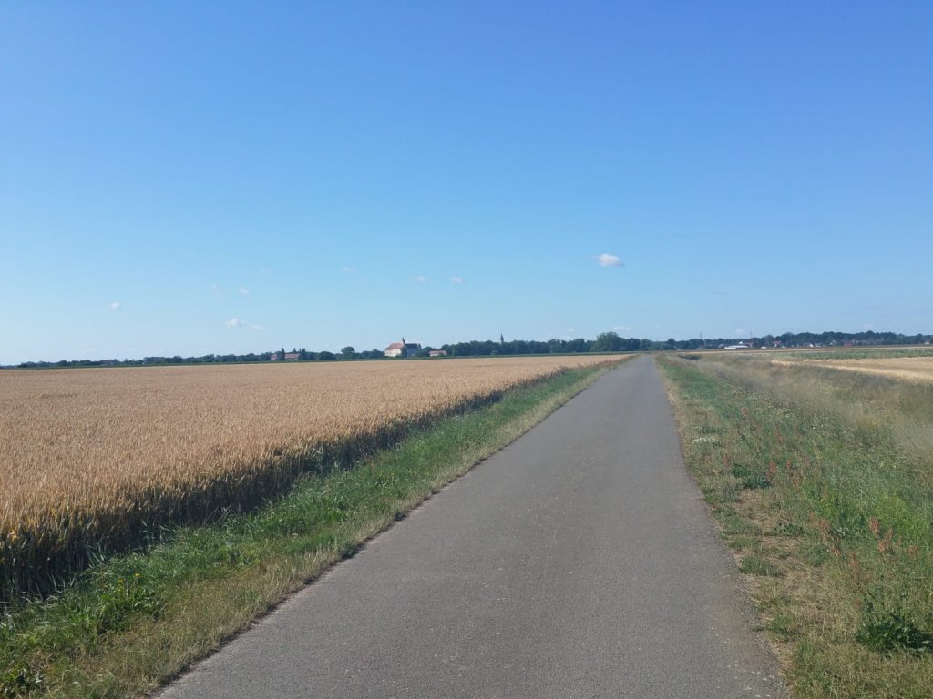 Het weidse landschap