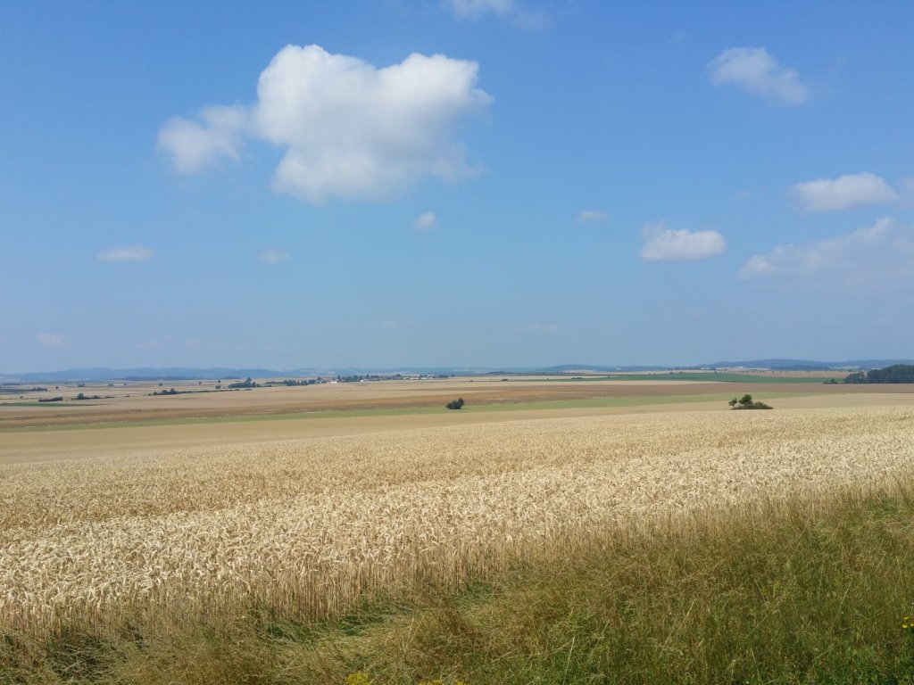 Weidse uitzichten