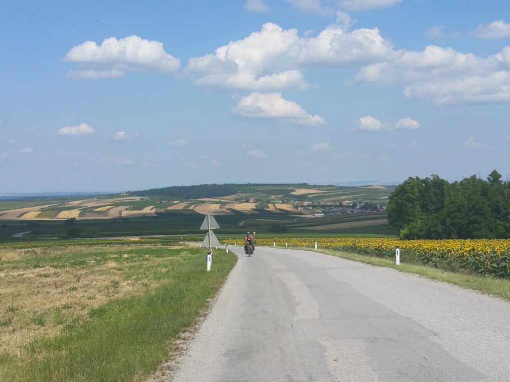 Weidse uitzichten 
