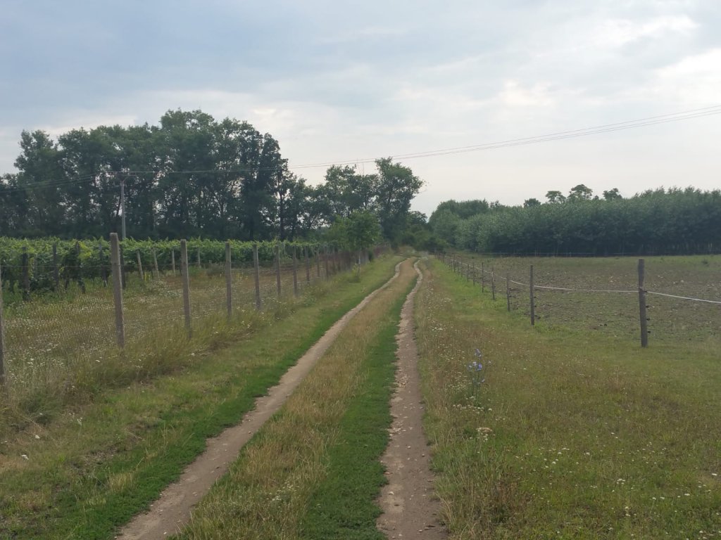 Greenway